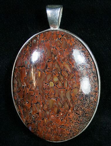 Agatized Dinosaur Bone Pendant #9355